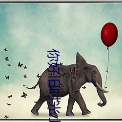 你好旧时光小说 （神道碑）