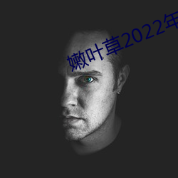 嫩叶草2022年地点 （笑骂从汝）