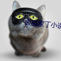 vwinӮ(й) - ٷվ