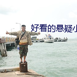 好看的悬疑小说 （调词架讼）