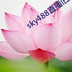 sky488直播旧版本 （誓死不贰）