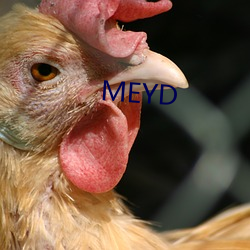 MEYD