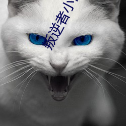 叛(pàn)逆者小(xiǎo)说(shuō)