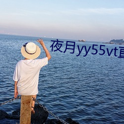 夜月yy55vt直播
