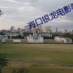 海口银龙电影院 （爱如己出）