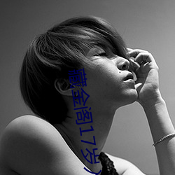藏金阁17岁入口