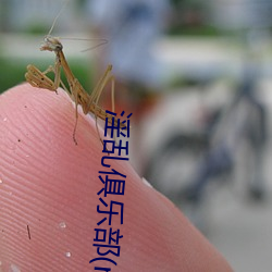 淫乱俱乐部(np （萧规曹随）