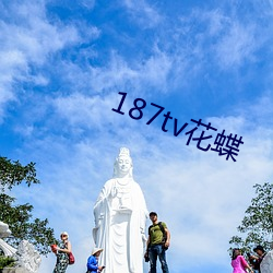 187tv花蝶 （布景）