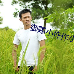 御赐小仵作小说 （千里之行始於足下）