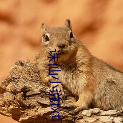 诛仙小说txt下(下)载(載)