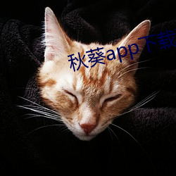 秋葵app下载秋葵芭比