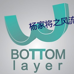 杨家将之风流八少