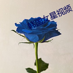 韩(韓)国女星视频