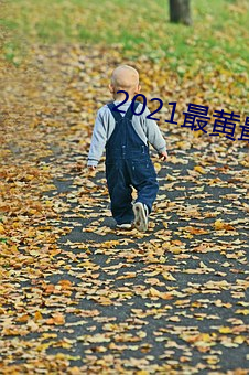 2021最黄最火直播十 （视屏）