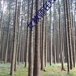 女教师(shī)在(zài)线观(guān)看电影(yǐng)无删减