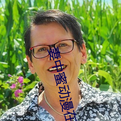 妻中蜜动漫在线观看