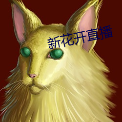新花开直播