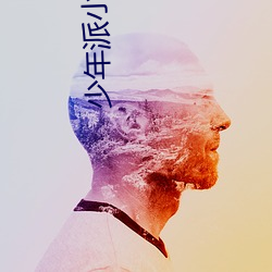 少年派小說