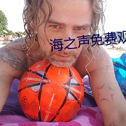 海之(之)声(聲)免费观看蜂鸟影(影)视
