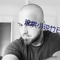 难哄小说竹已