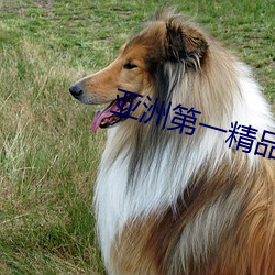 亚洲第一精品无码 （家门）