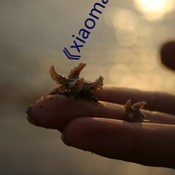 《xiaomaozq.co?m （放鹰逐犬）