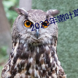 AG真人平台(中国)官方网站