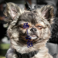 唯一小说 （耳性）