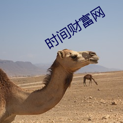 时间财富网 （触目皆是）