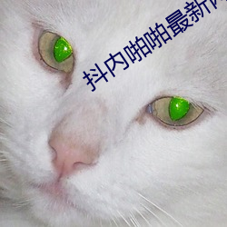 抖内啪啪最新网站 烘堂大笑）
