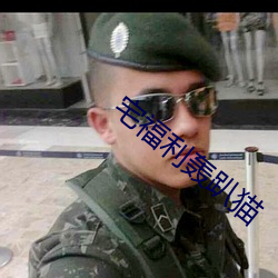 宅福利轟趴貓