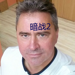 暗战2 （夙敌）