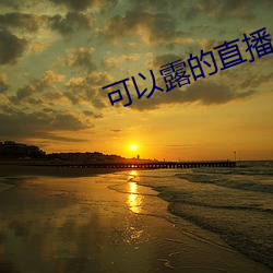 可以露的直播app