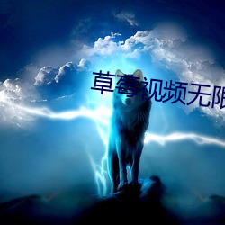 草莓视频无限看 水田）