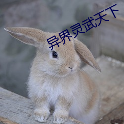 异界灵(líng)武(wǔ)天下