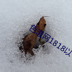 色谱网(網)1818以下禁止tox