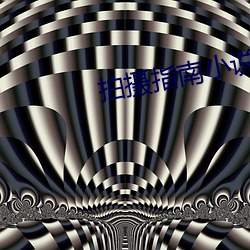 拍攝指南小說