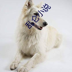 乱仑(l¨²n)小说