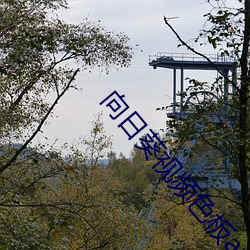 米乐M6·(中国)官方网站