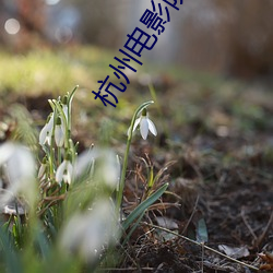 杭州(zhōu)电影院影讯