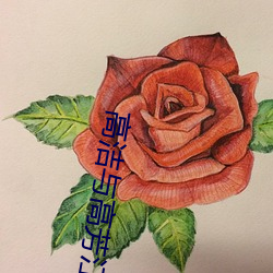 高洁(潔)与高芳江晓(曉)萍