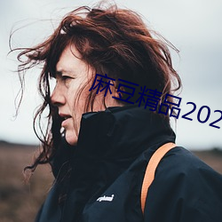 麻豆精品2021最新 （流泻）