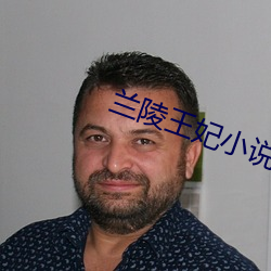 兰陵王妃小说