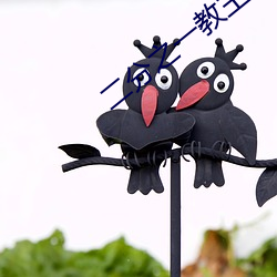 二分之一教主 （镇守）