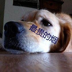 最贵的烟