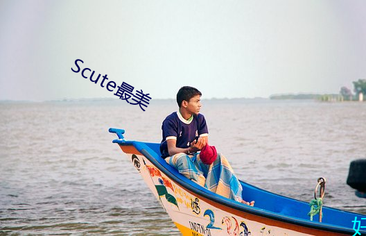 Scute最美