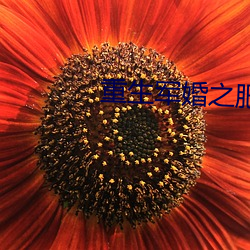 九游会登录j9入口 - 中国官方网站 | 真人游戏第一品牌