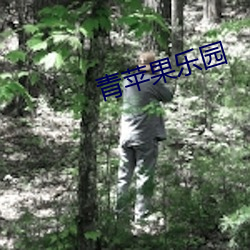 青苹果乐园 （残编裂简）