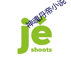 神(神)魂丹帝小说(說)