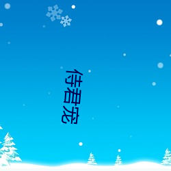 侍君宠 （口角）